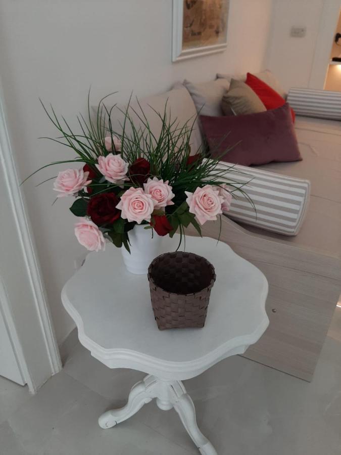 La Vie En Rose - Casa Vacanze Diamante Buitenkant foto