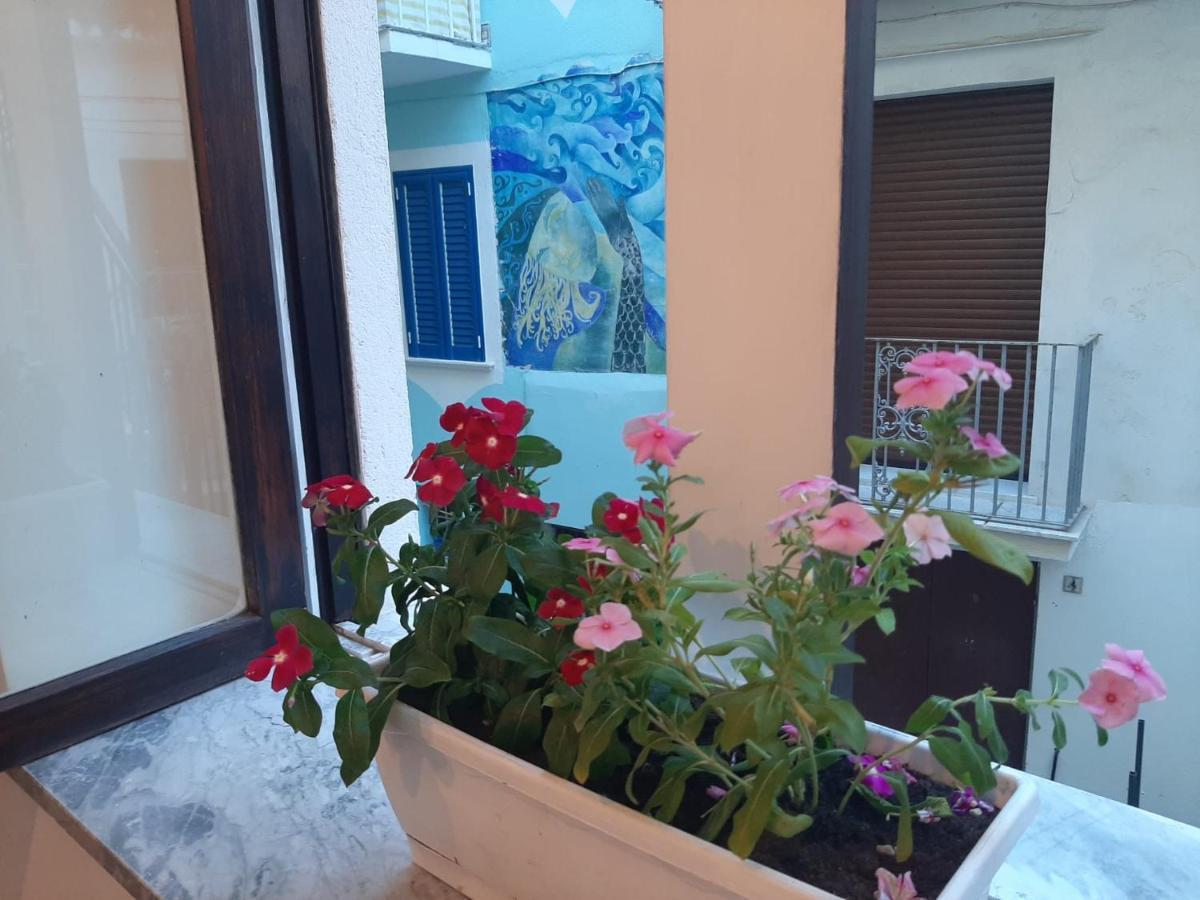 La Vie En Rose - Casa Vacanze Diamante Buitenkant foto